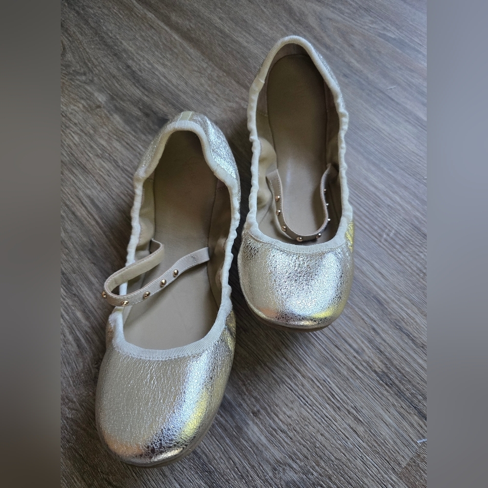 Joie Haddie Ballet Flat NWOT Size 39